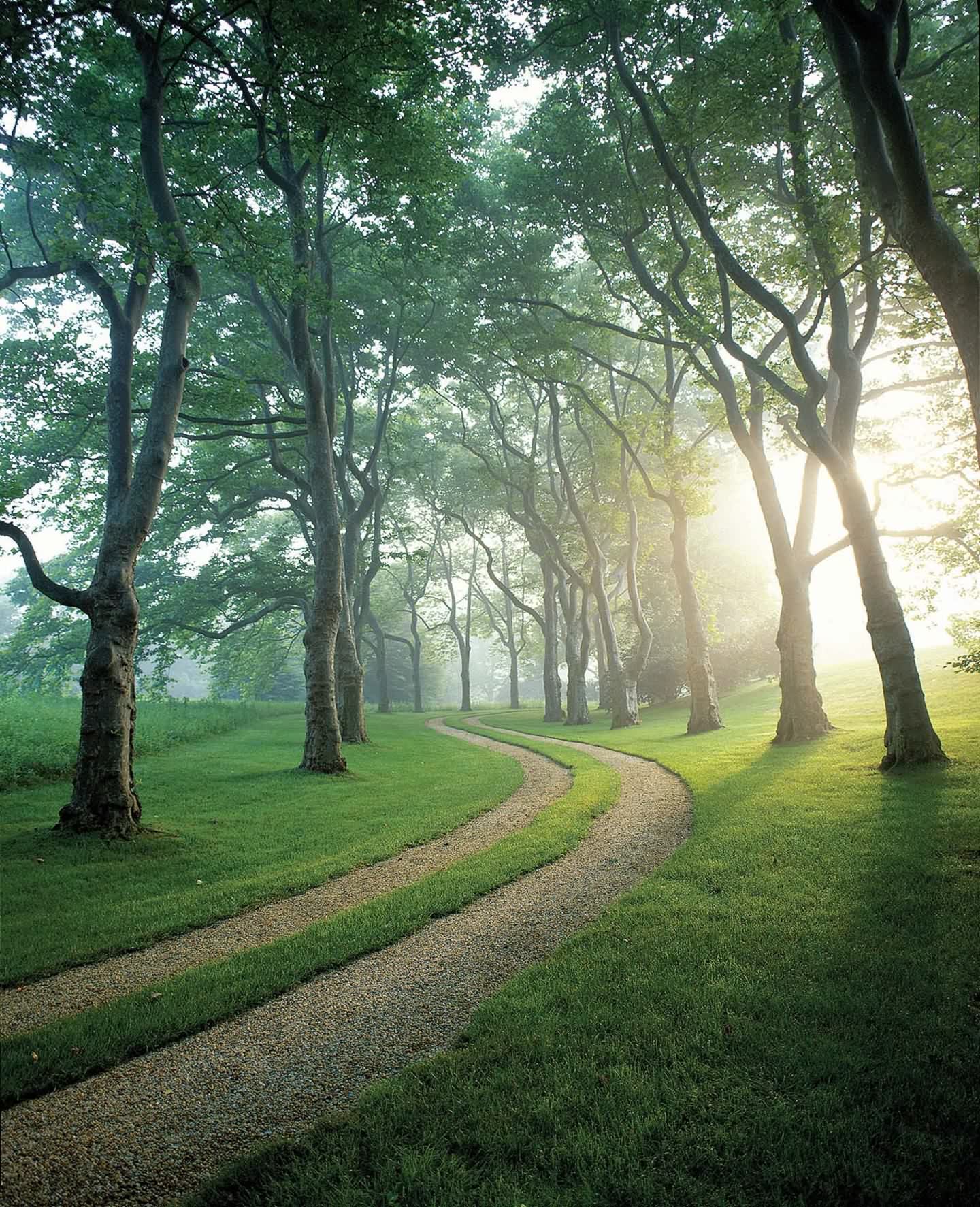 Hither Lane 景观与建筑-8