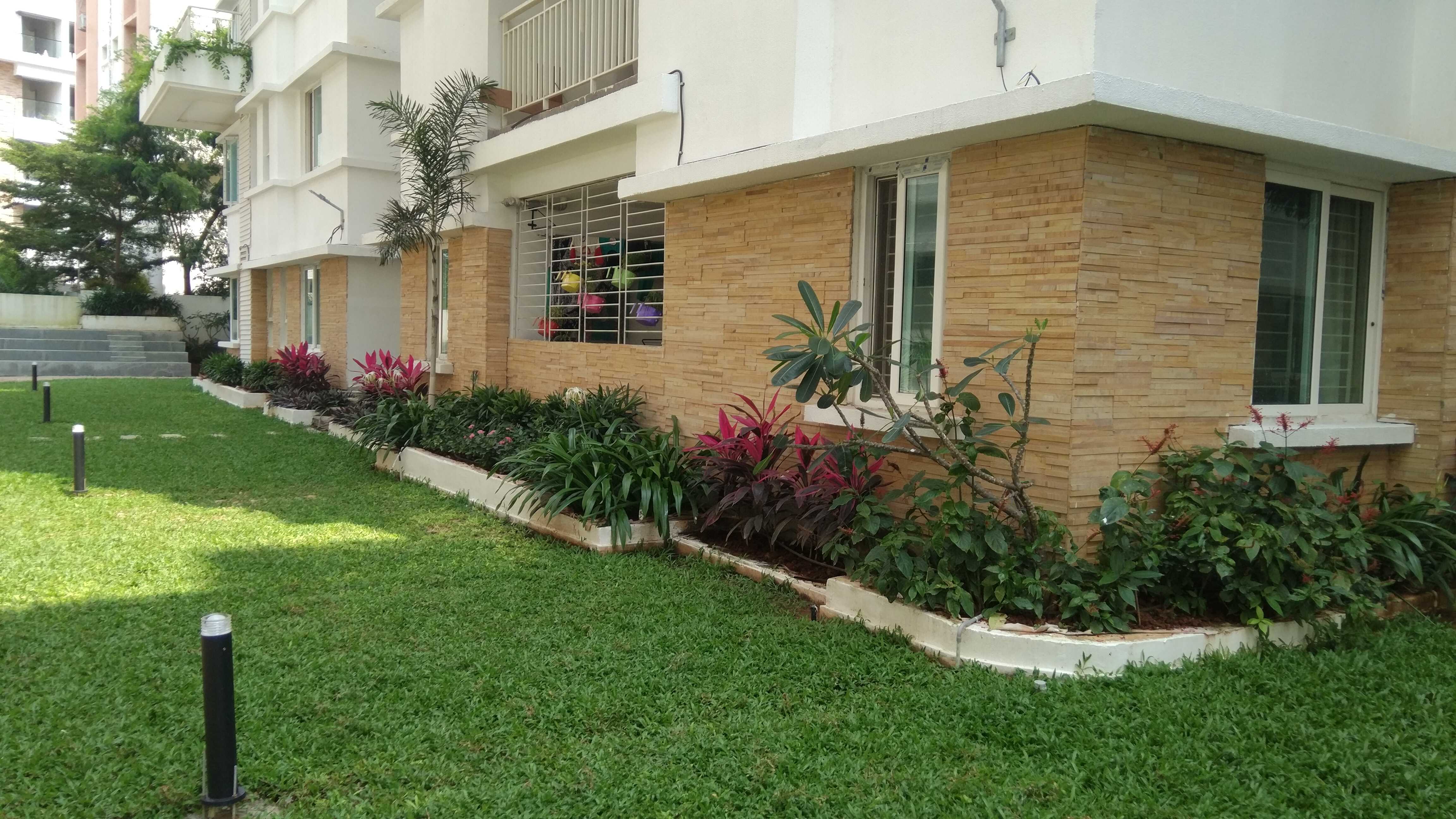 svc treewalk aquaria-6