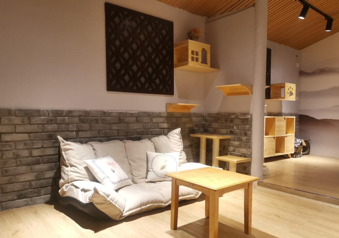 
平江路的猫咖 -8