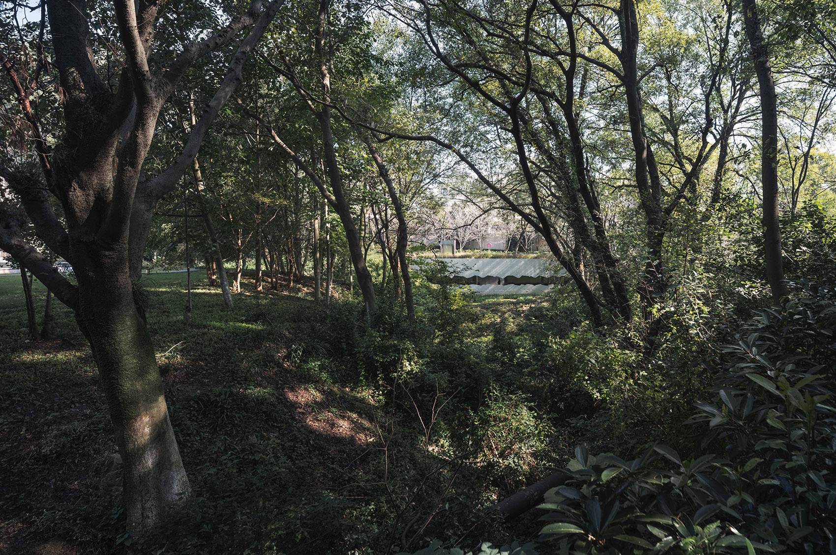 谷里的窗,树上的云,南京四方艺术湖区公共卫生间丨中国南京丨南京大学建筑规划设计研究院有限公司 物物建筑-181