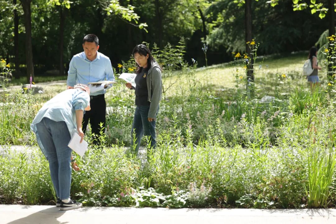 西安欧亚学院南姜路景观改造丨中国西安丨张唐景观-81