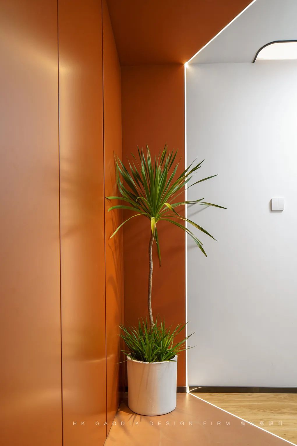 高迪愙实景｜有爱，有序，有自己-63