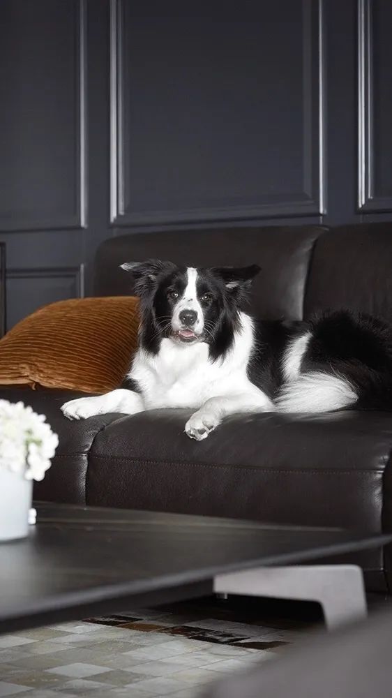 黑白法式浪漫,打造江景房的洄游流动感-21