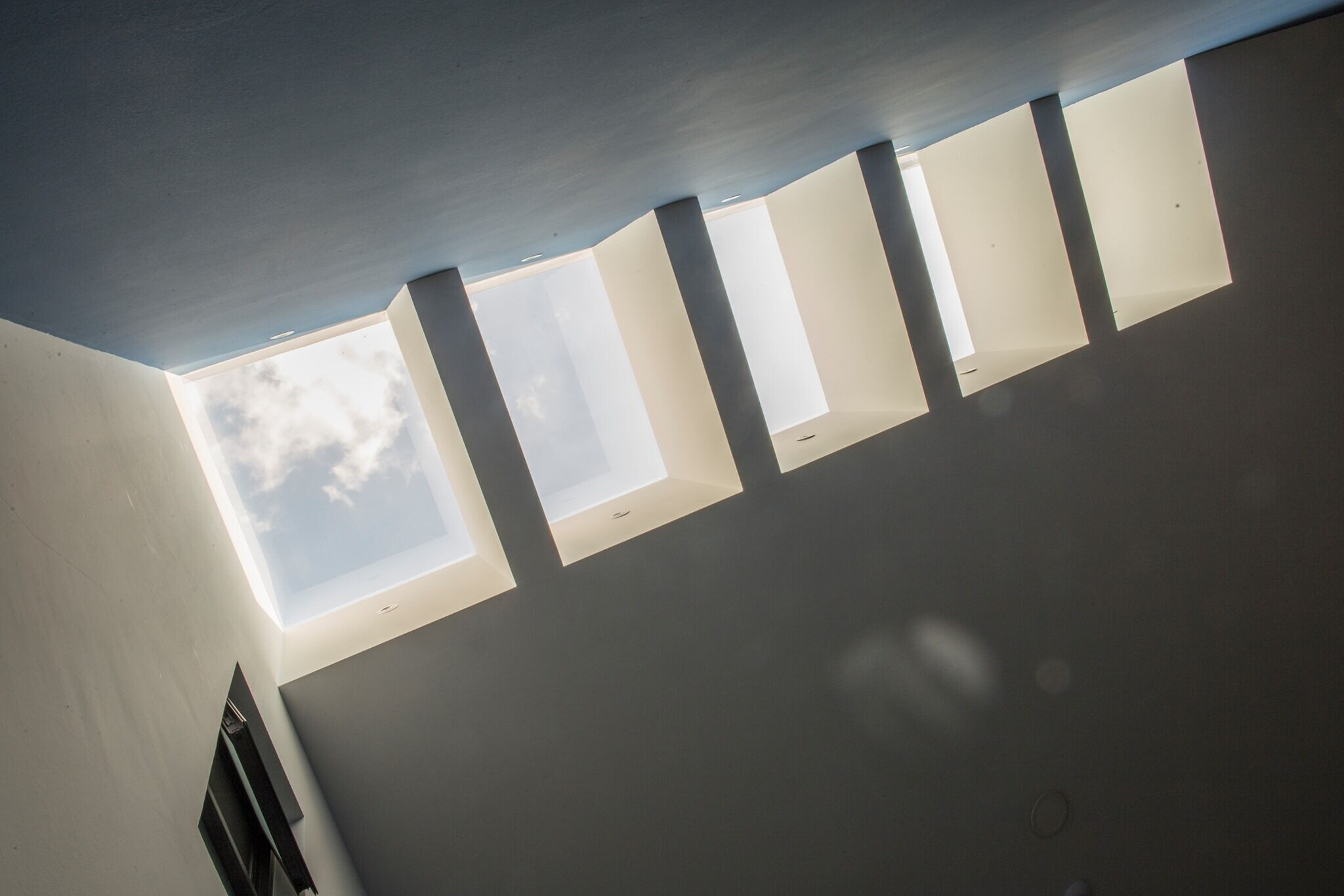 《蓝兰花之家》-37