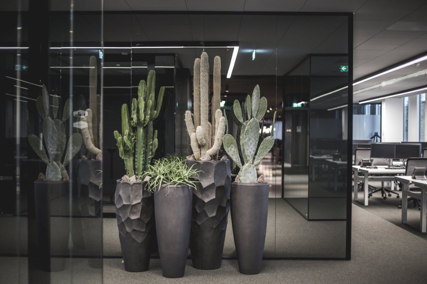 Kabaz数据中心-14