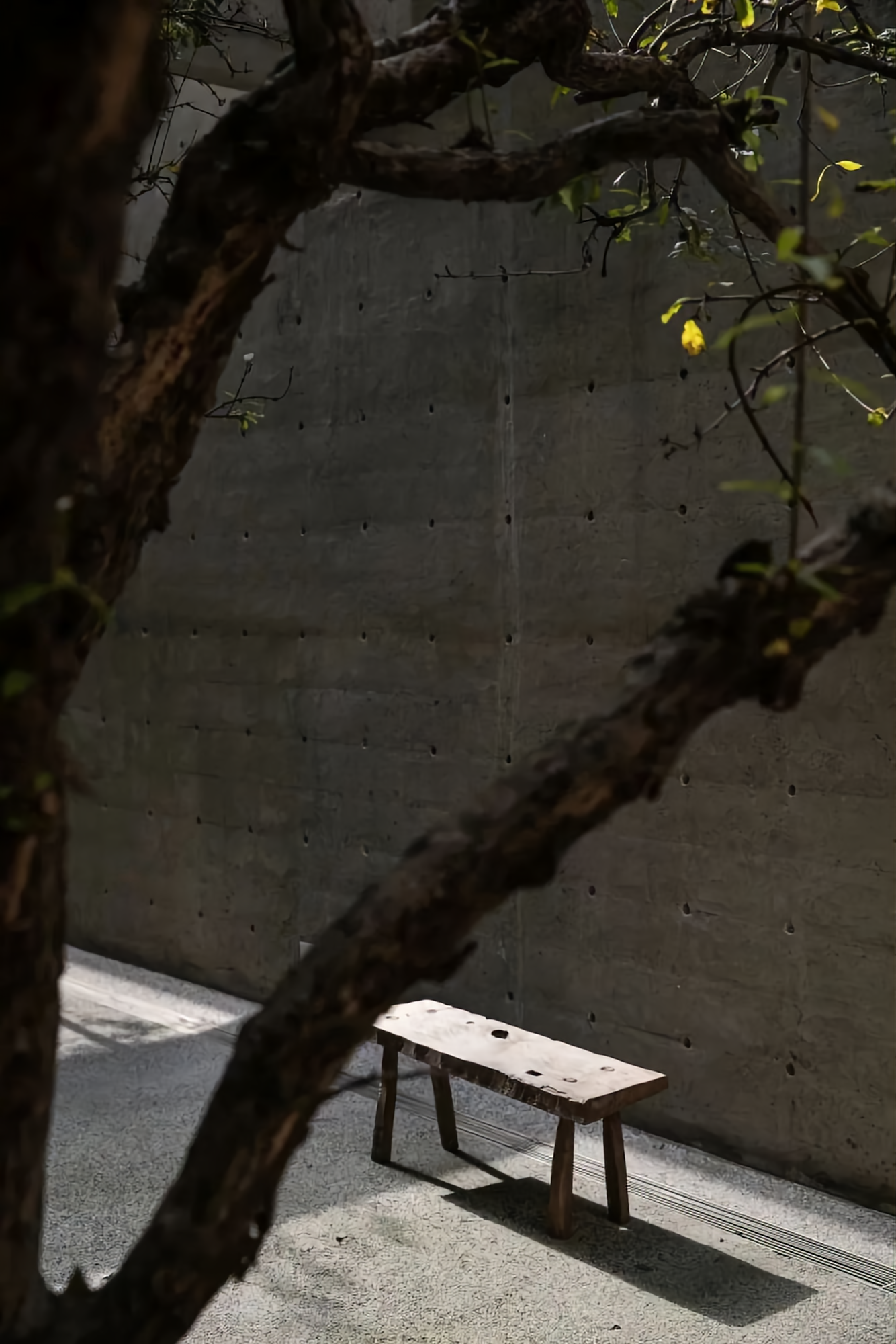 住进春天,追着光的家丨中国重庆丨尚壹扬设计-60