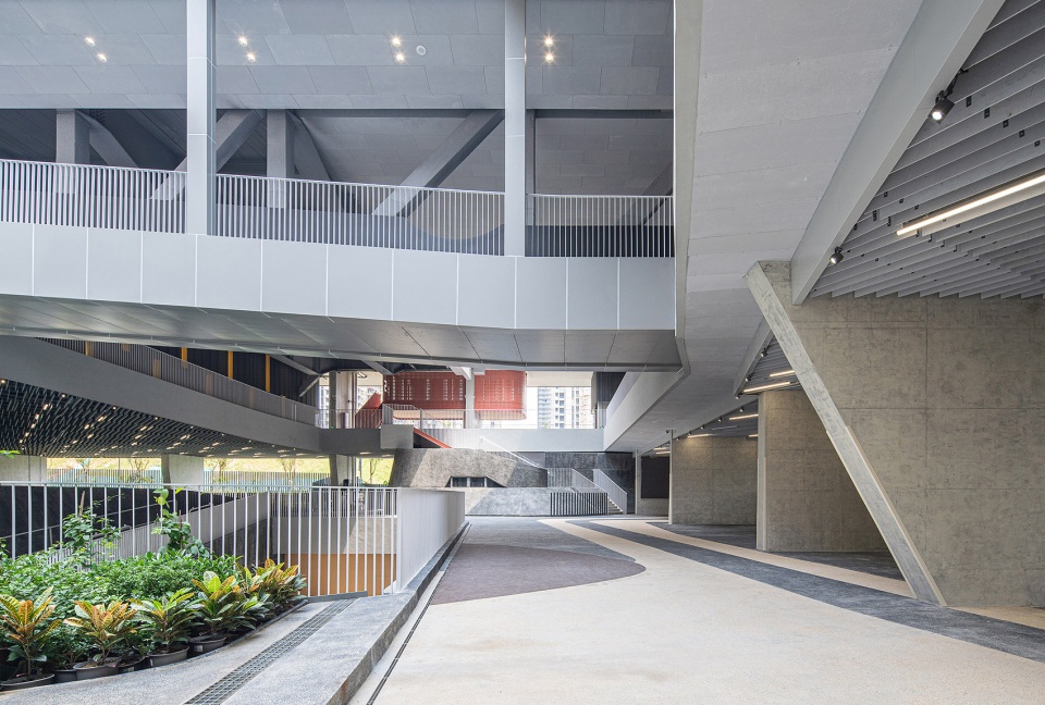 红岭实验小学-43