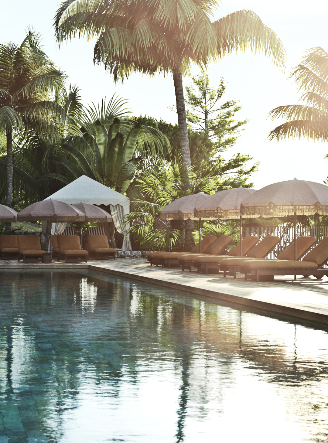 丨Croatia丨Lambs and Lions-23