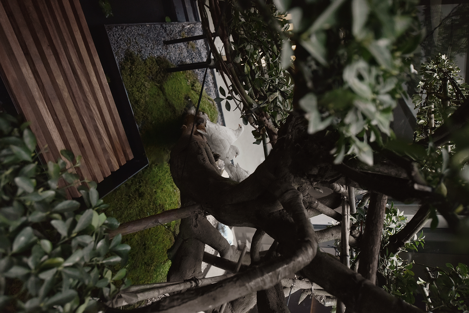 素丘園丨中国四川丨PONE普利策-9