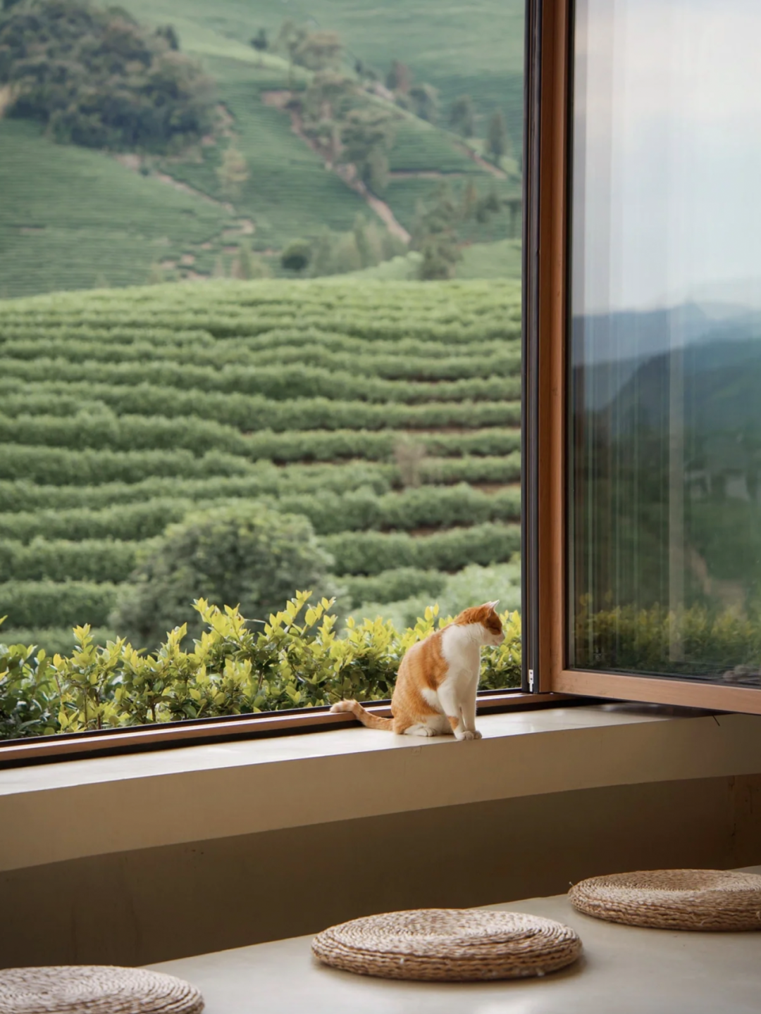 安吉观景平台及茶室丨中国浙江丨HATCH 汉齐建筑-59