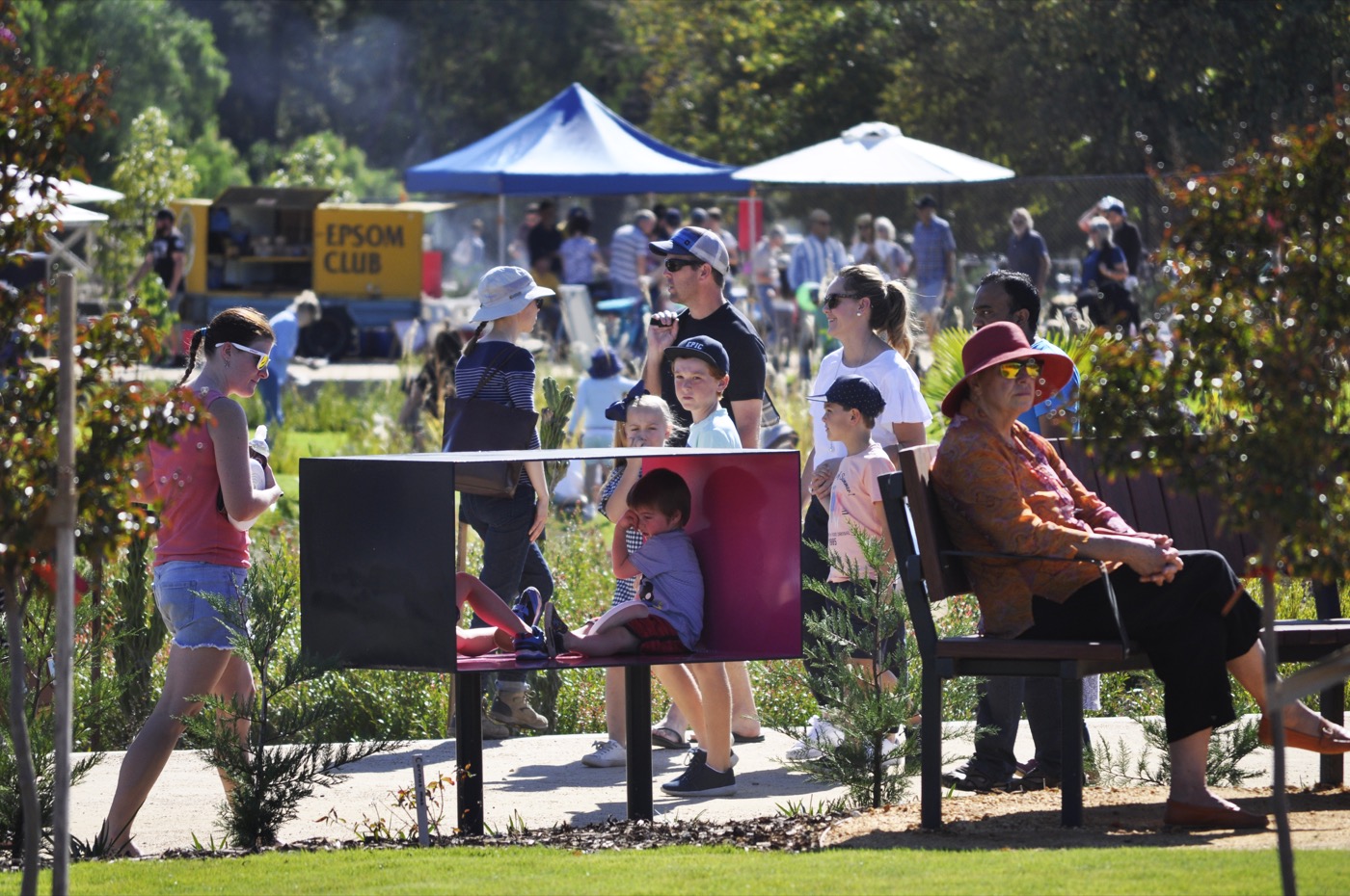 未来花园丨澳大利亚丨泰勒·卡利尔景观设计事务所-13