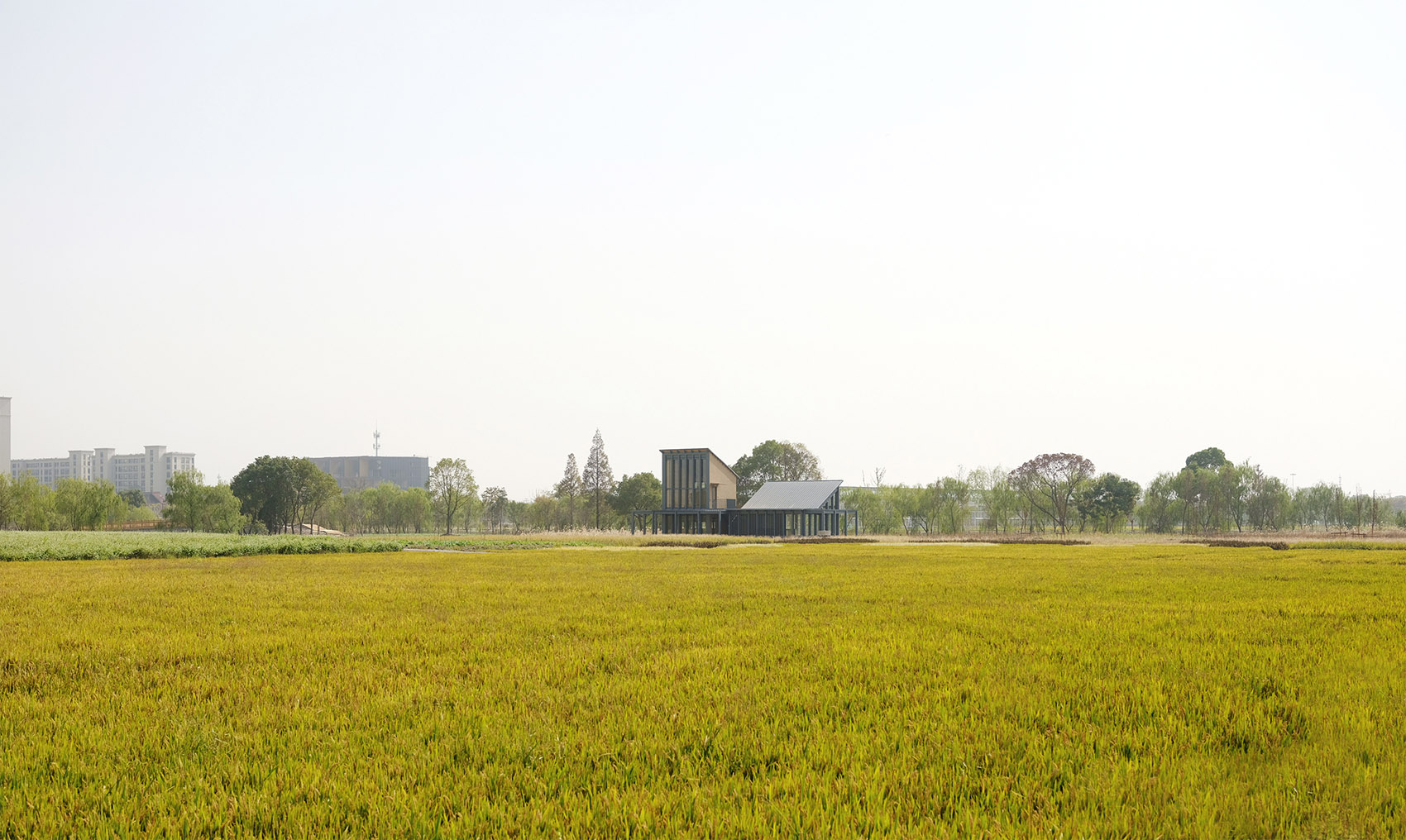 乌镇谭家湾稻田书局，浙江 / 东维建筑-63