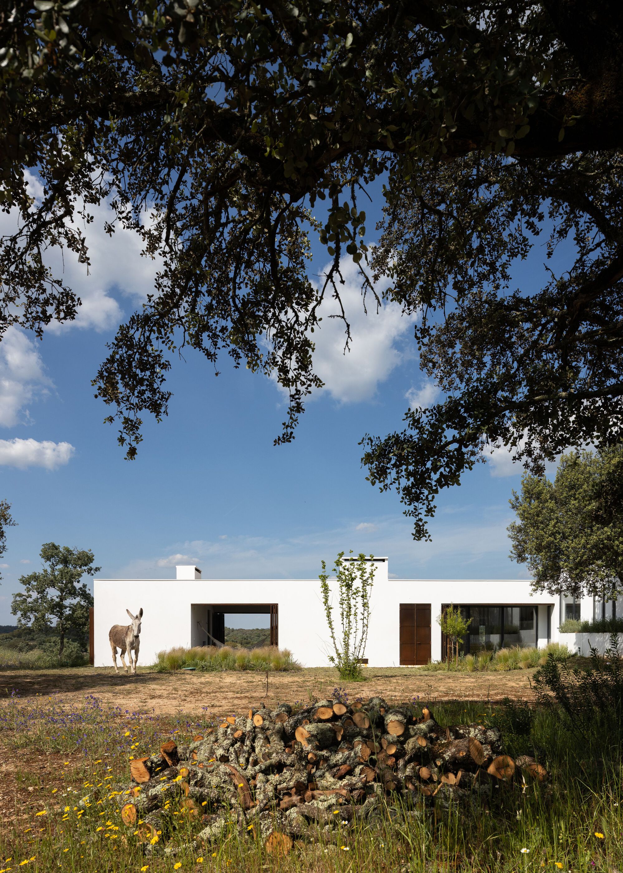 克拉托的房子丨葡萄牙丨Inês Brandão Arquitectura-17