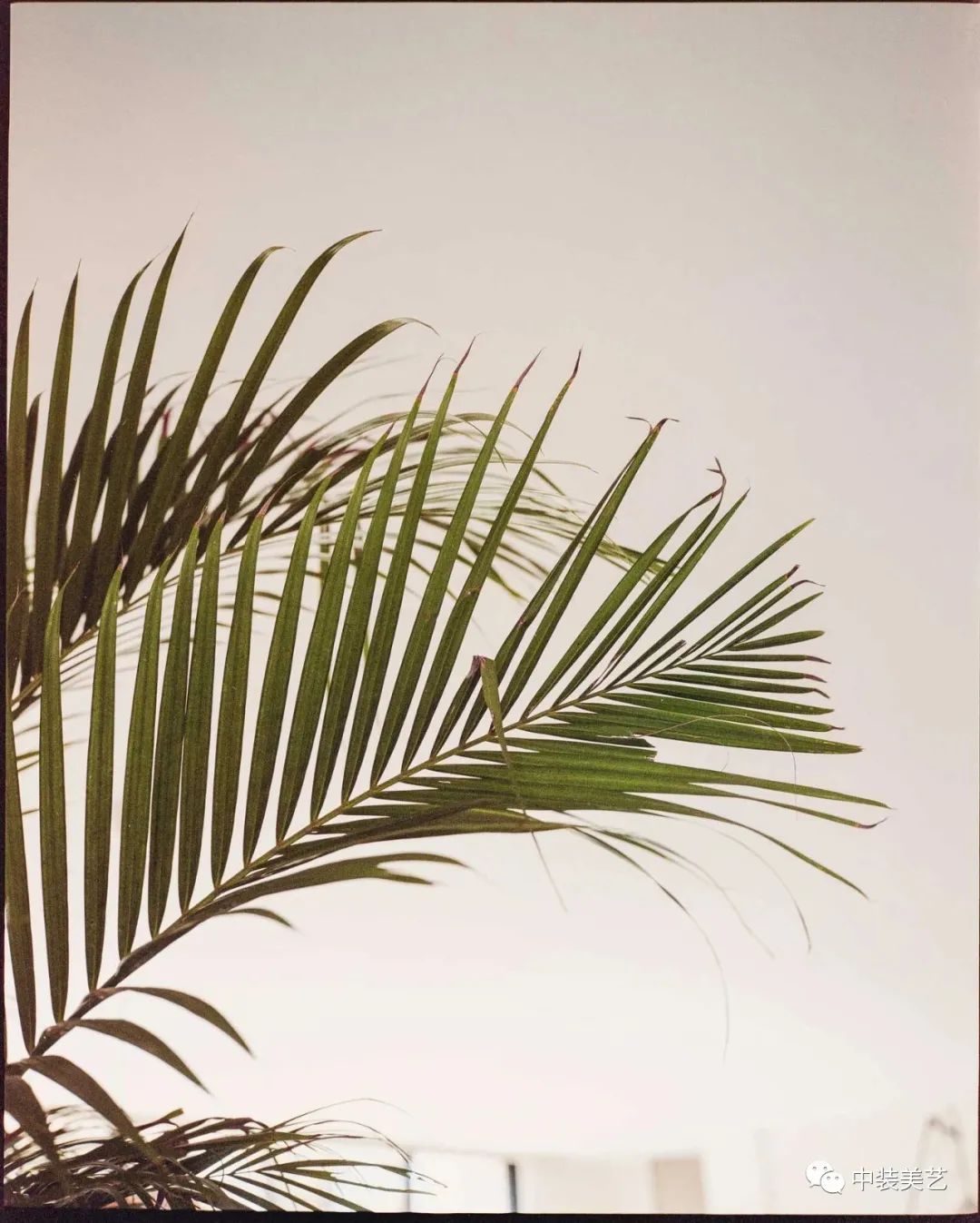 Top Case/复古元素的度假别墅-7