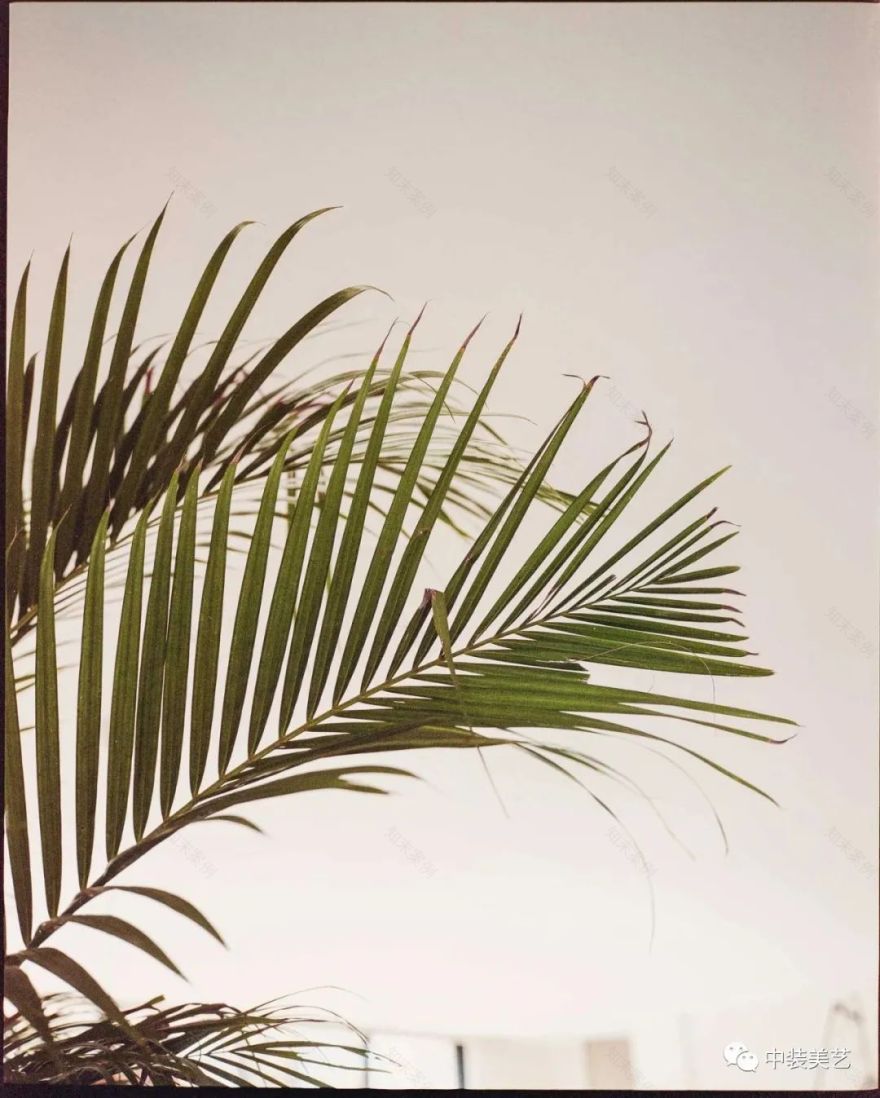 Top Case/复古元素的度假别墅-7