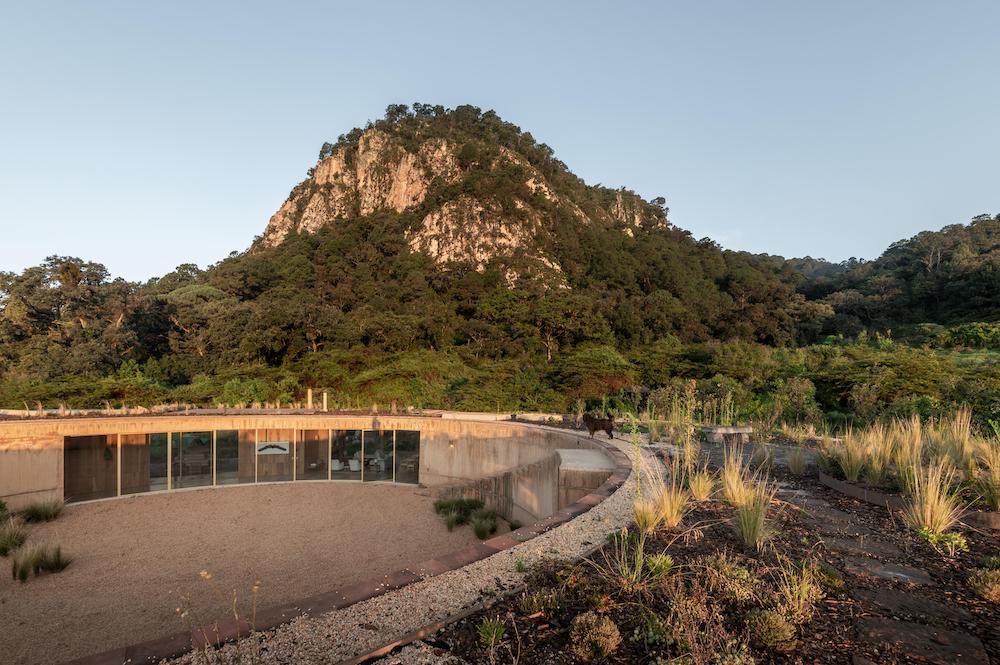 墨西哥城720度住宅丨费尔南达·卡纳莱斯-1