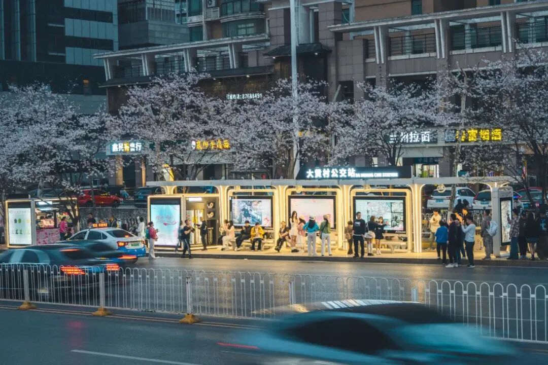深总院微空间，雕琢樱花公交站之美-17