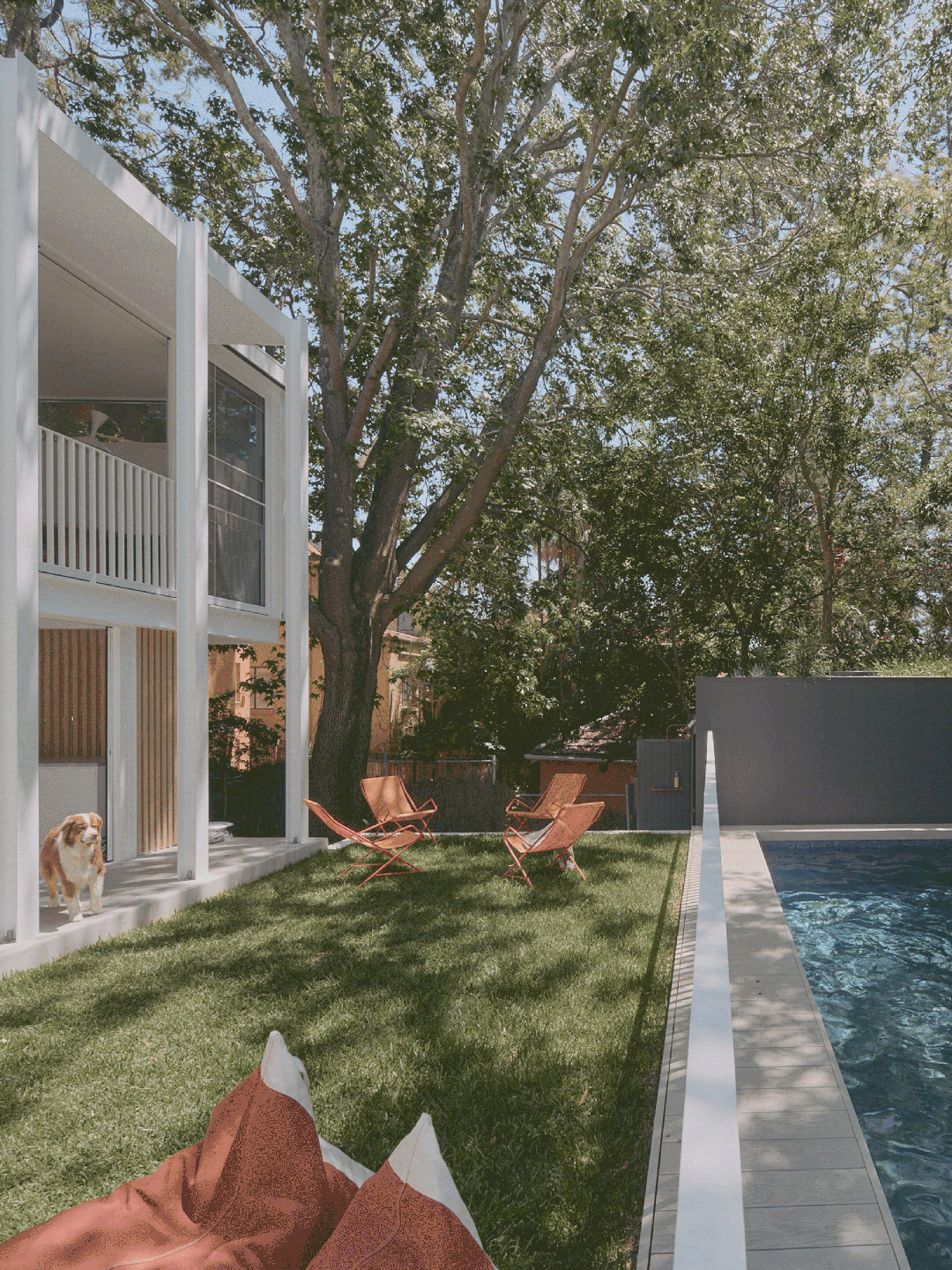 贝尔维尤山住宅（Casa FM）丨墨西哥-0