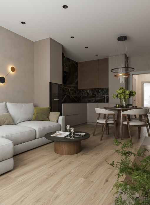 ЖК Ньютон 51·2平米公寓室内设计丨俄罗斯车里雅宾斯克-17