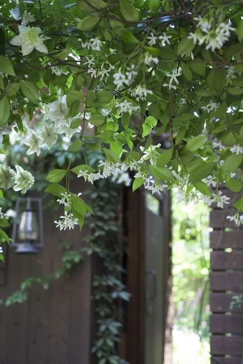 院落生活 | 诗与远方的完美结合-75