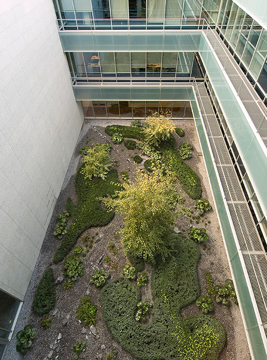 Madrid 办公大楼庭院花园 · 有机自然主义的设计实践-26