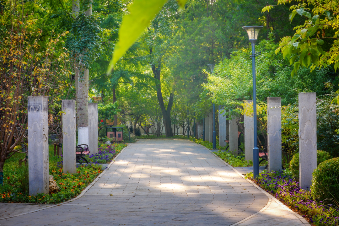 南馆公园及周边改造提升项目丨中国北京丨北林地景-58