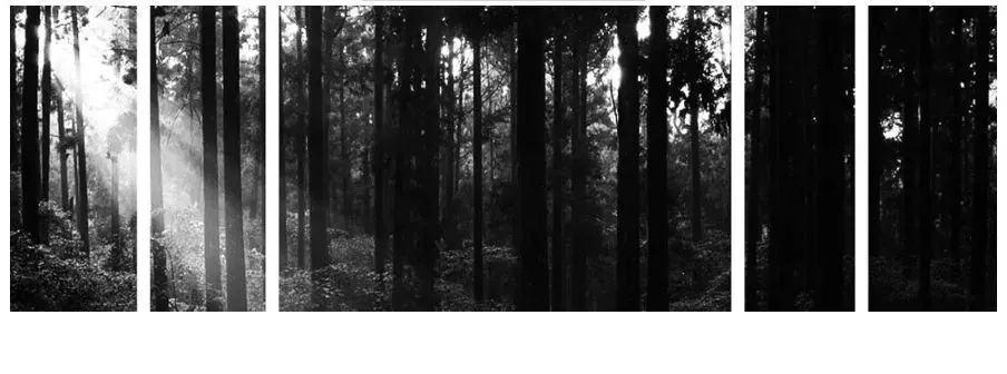 世茂·璀璨荣里 | 现代解构主义的水乡景观设计-54