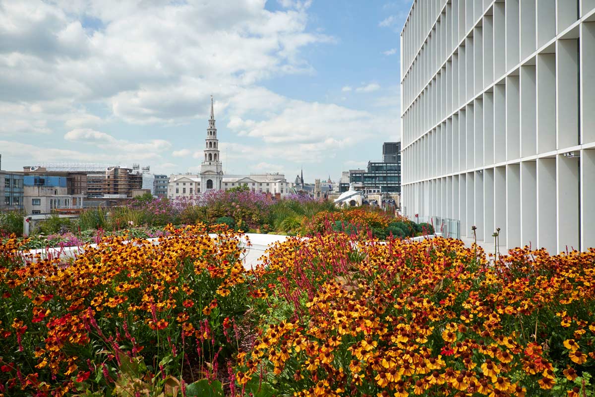 都市绿洲 · 伦敦 New Ludgate 五层露台设计-15