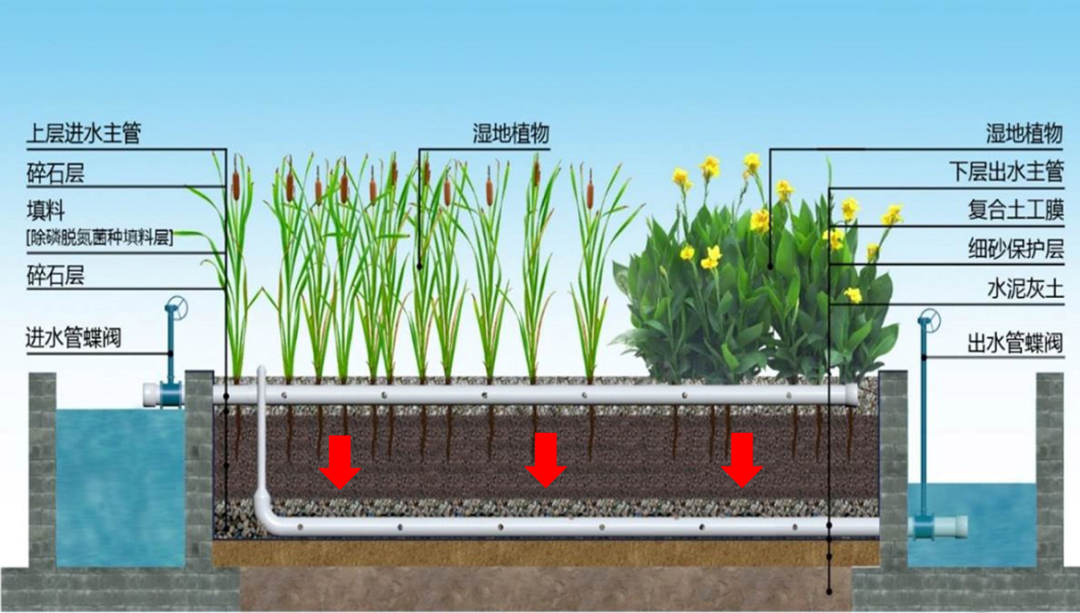 「品牌西南院·项目」全国十佳！四川唯一！公司打造的这个公园入选！-7