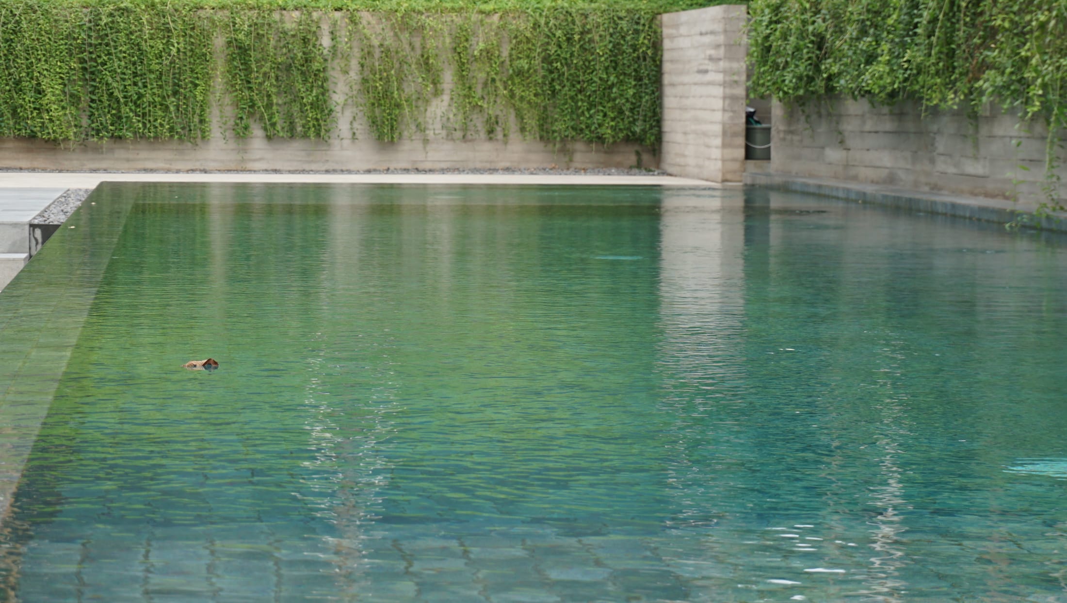 印度尼西亚现代共享住宅 · Kramat Jati House丨PT. Studio Air Putih-9