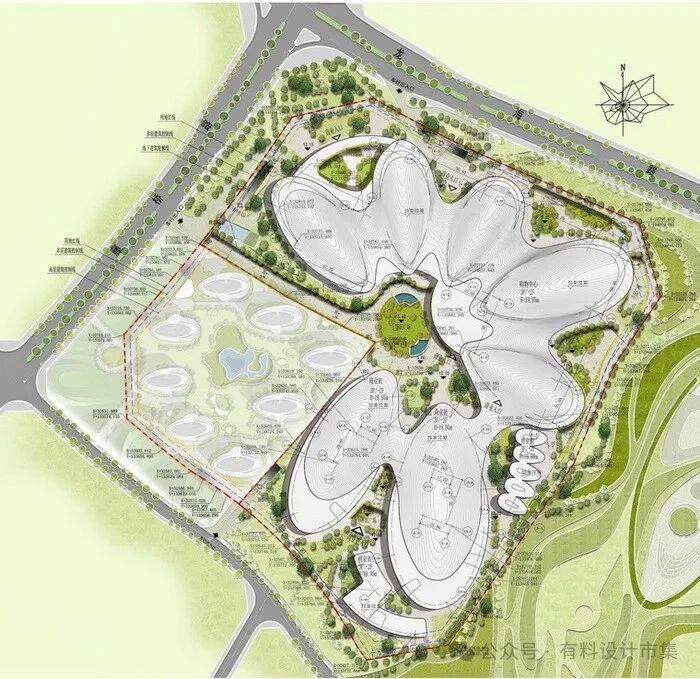 莲叶生辉,绽放层层美丽世界-26