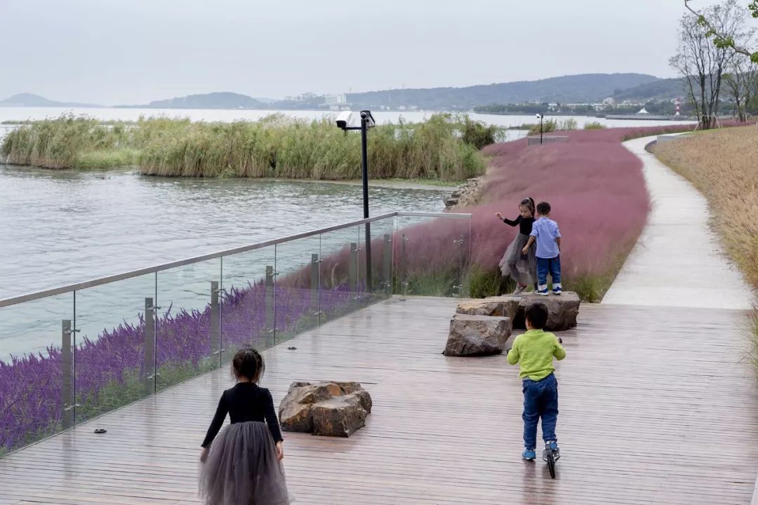 《雁归来》 | 水乡文化的现代解读-48