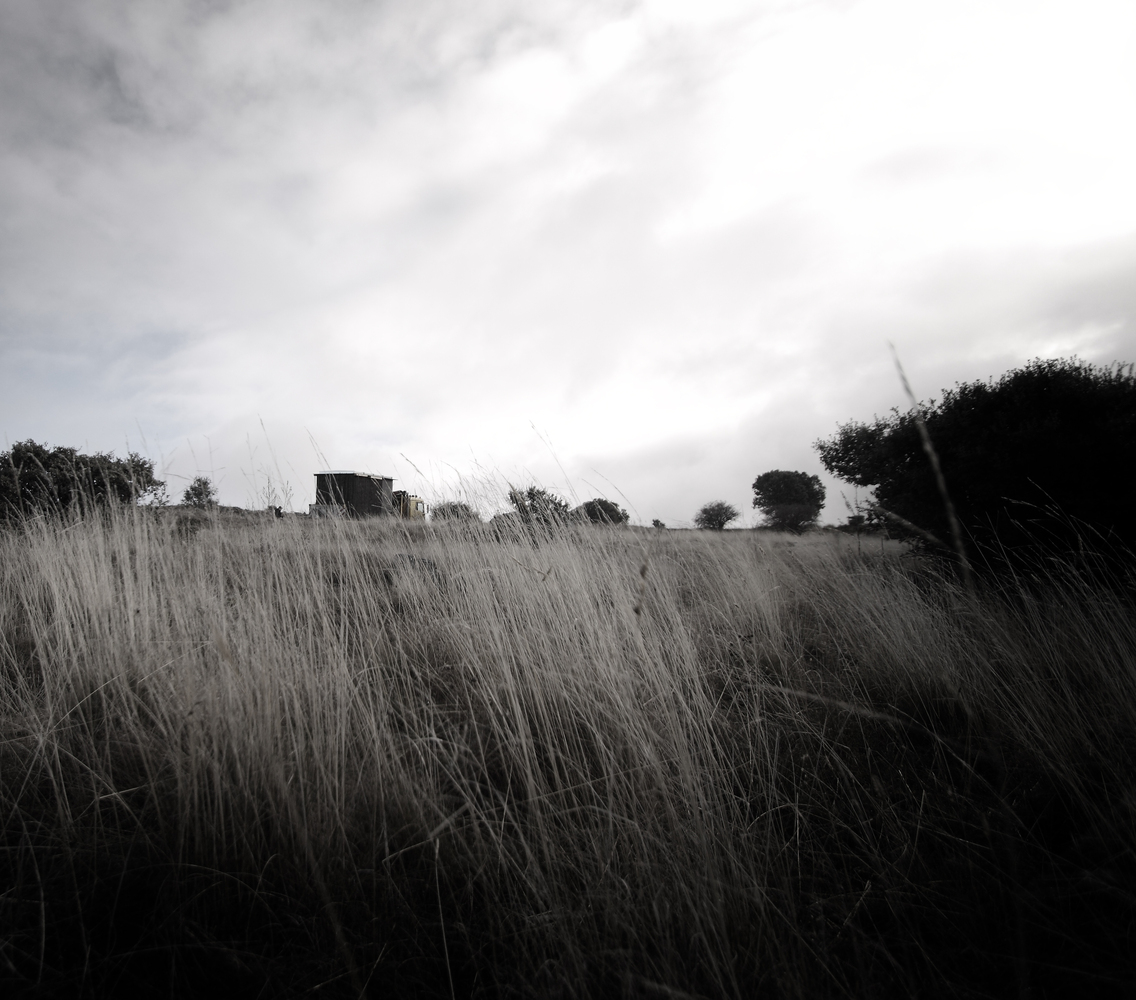 西班牙文化遗址旁的可逆式木钢展馆-50