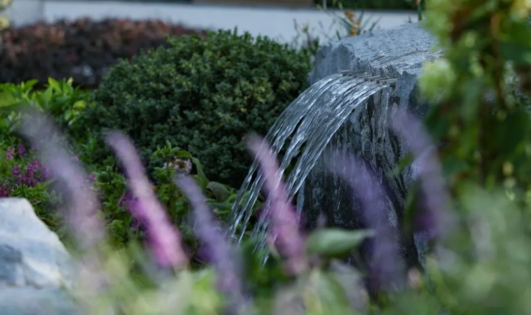 道远设计丨厦门万科·璞悦山 景观设计 丨中国厦门-91