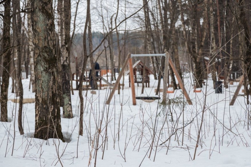 俄罗斯梅舍斯基森林景观丨不详-30