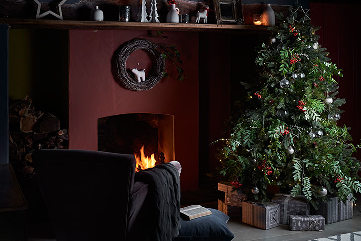 自然奇观 | Neptune 的圣诞装饰系列-1