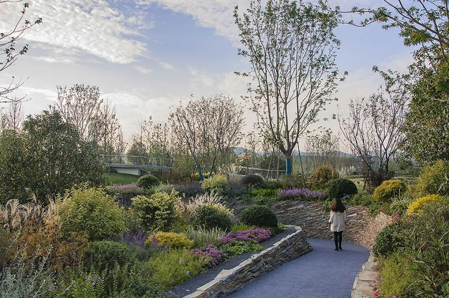 第十三届中国（徐州）国际园林博览会上海展园丨中国徐州丨上海市园林设计研究总院有限公司-36