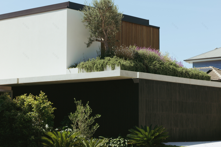 别墅庭院丨澳大利亚丨buck&simple-11