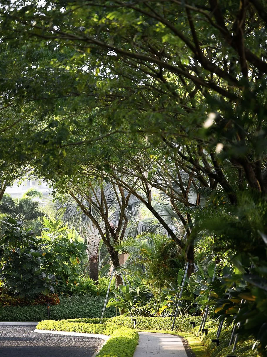 神州半岛君悦酒店丨中国万宁丨SED新西林园林景观-24