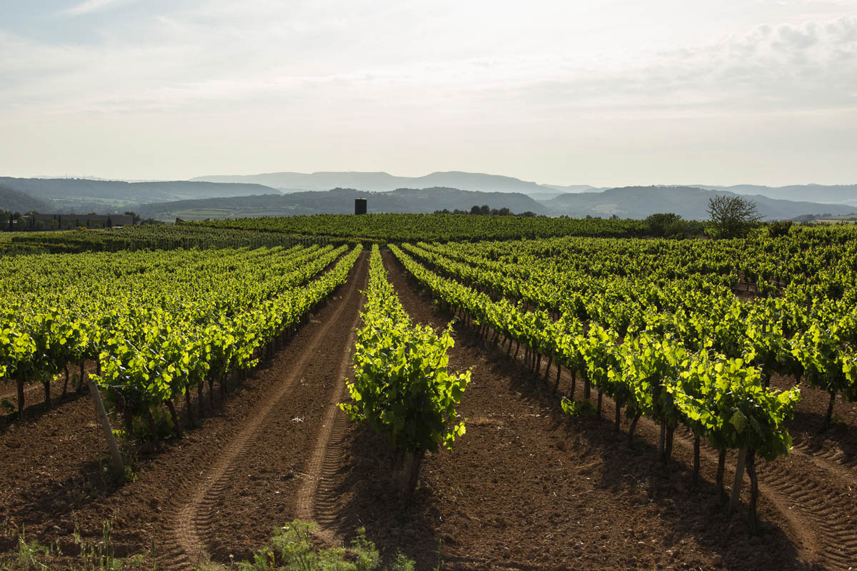 06 10 RECAREDO TASTING AREA-12