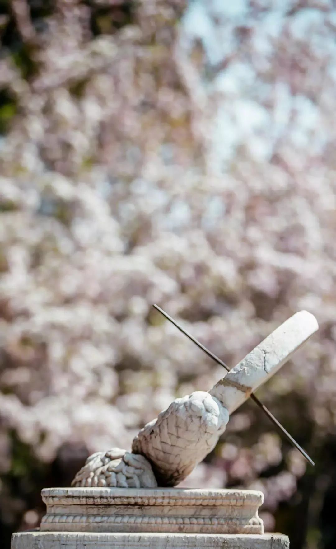 故宫消防 | 世界最大规模木结构建筑群的防火秘籍-65