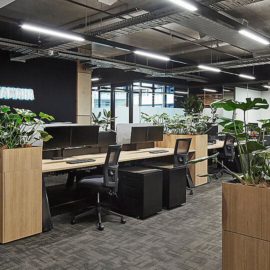 Yamaha Music Australia HQ by STUDIOMINT | Australian Interior Design Awards-2