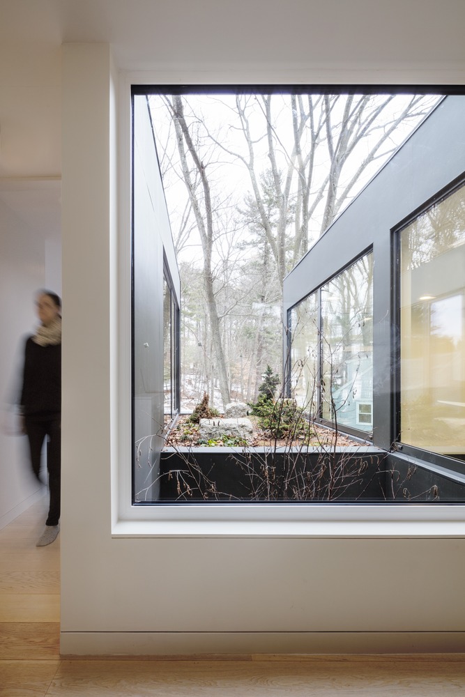 列克星敦的"生长盒子"-40