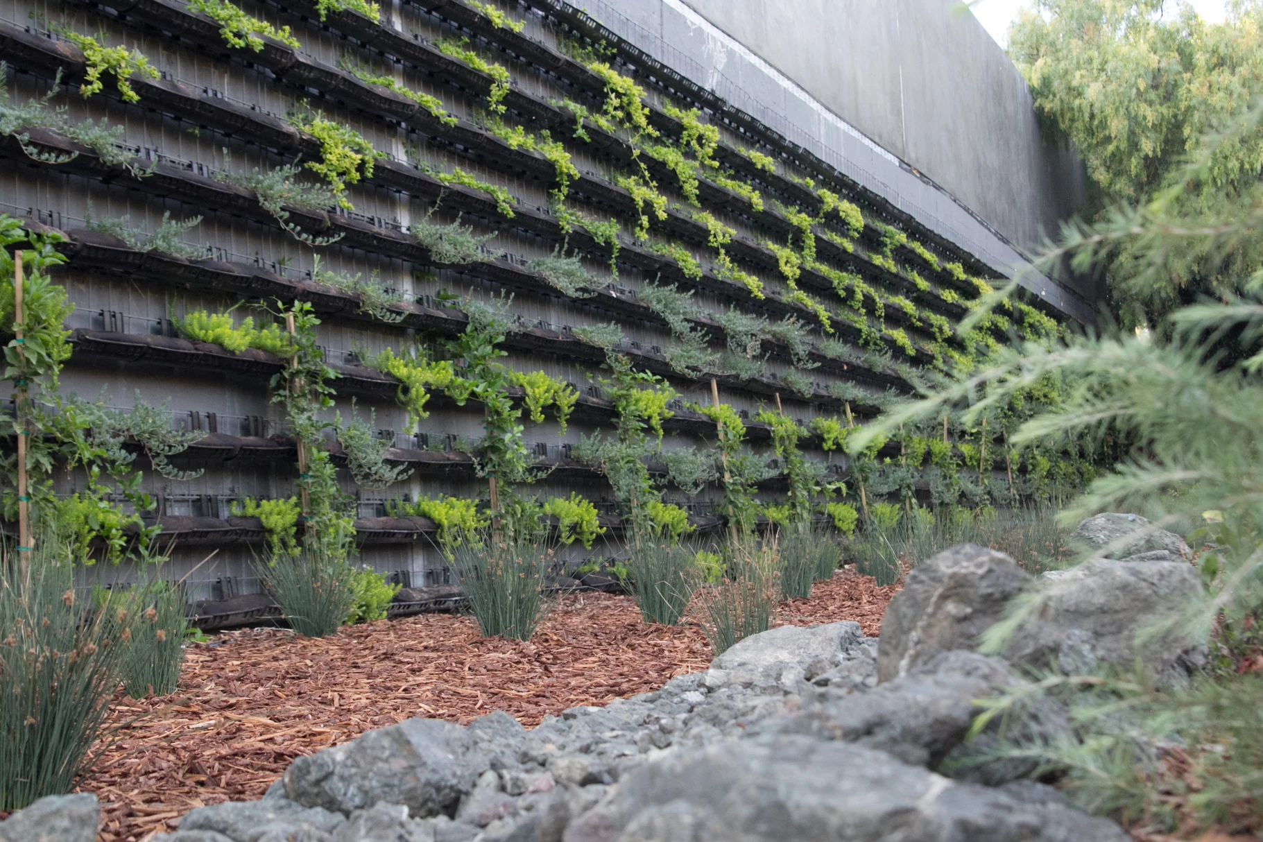 La Quinta Hotel景观规划项目丨阿根廷圣路易斯丨Firma Consultants-3