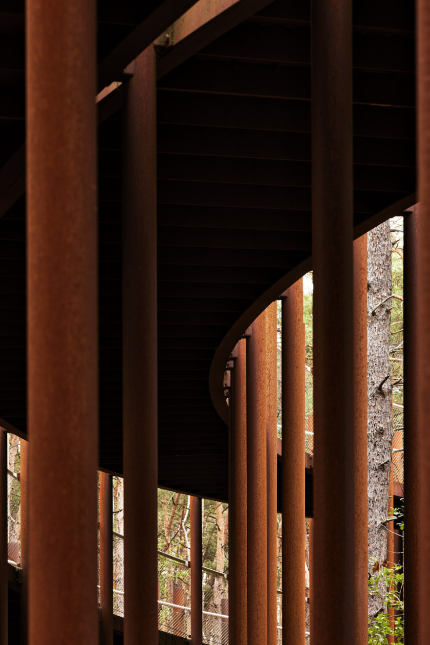 在树林中骑行丨Visit Limburg-20