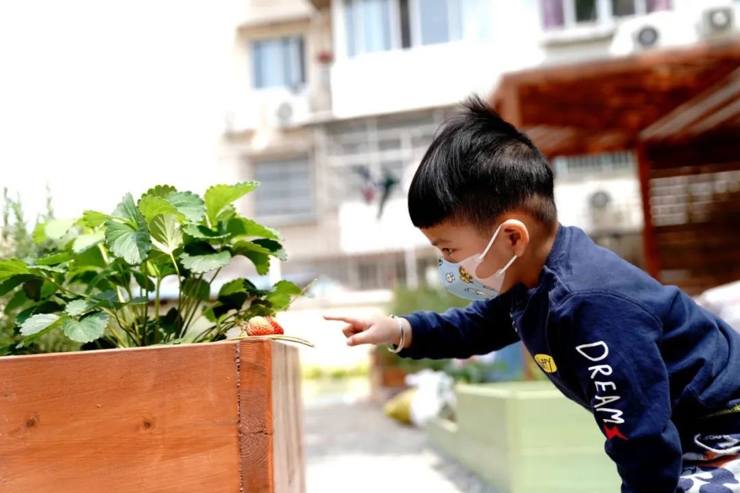 地球日特辑 | 社区花园VS城市生境-107