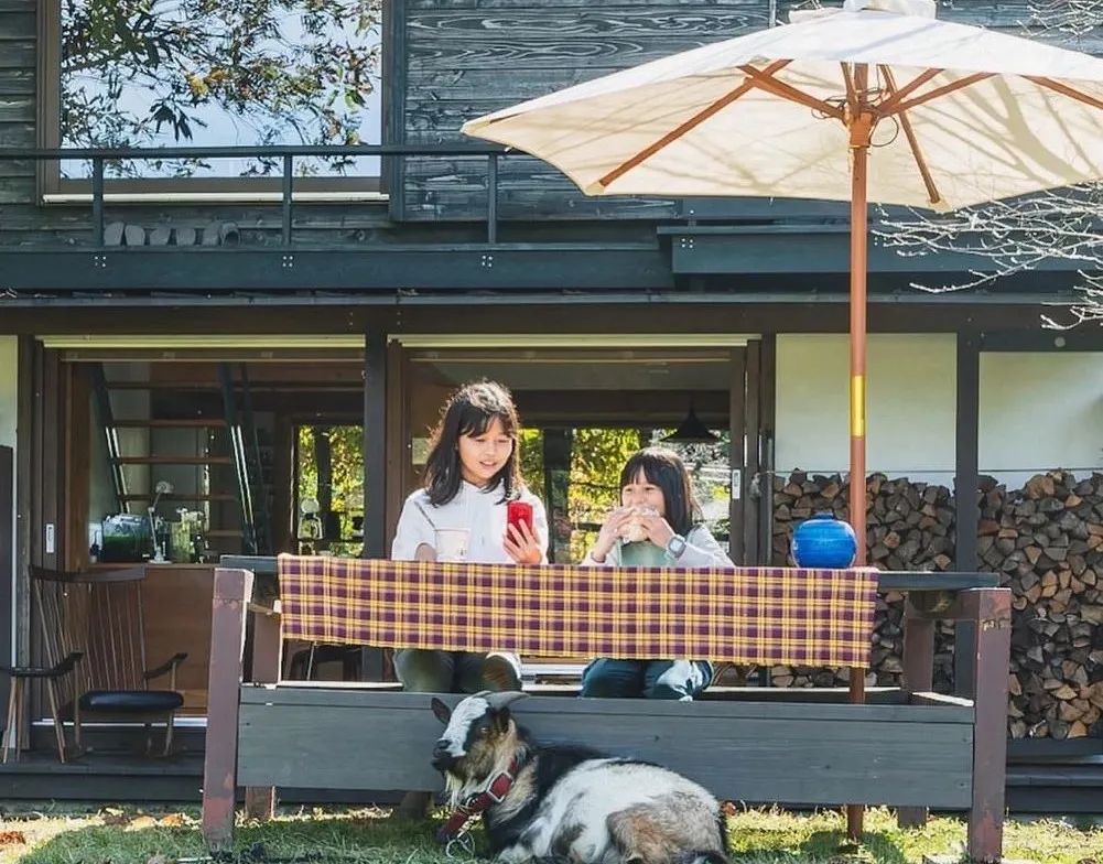 三胎家庭住进深山10年，人均6㎡卧室，却坐拥整片山林-125