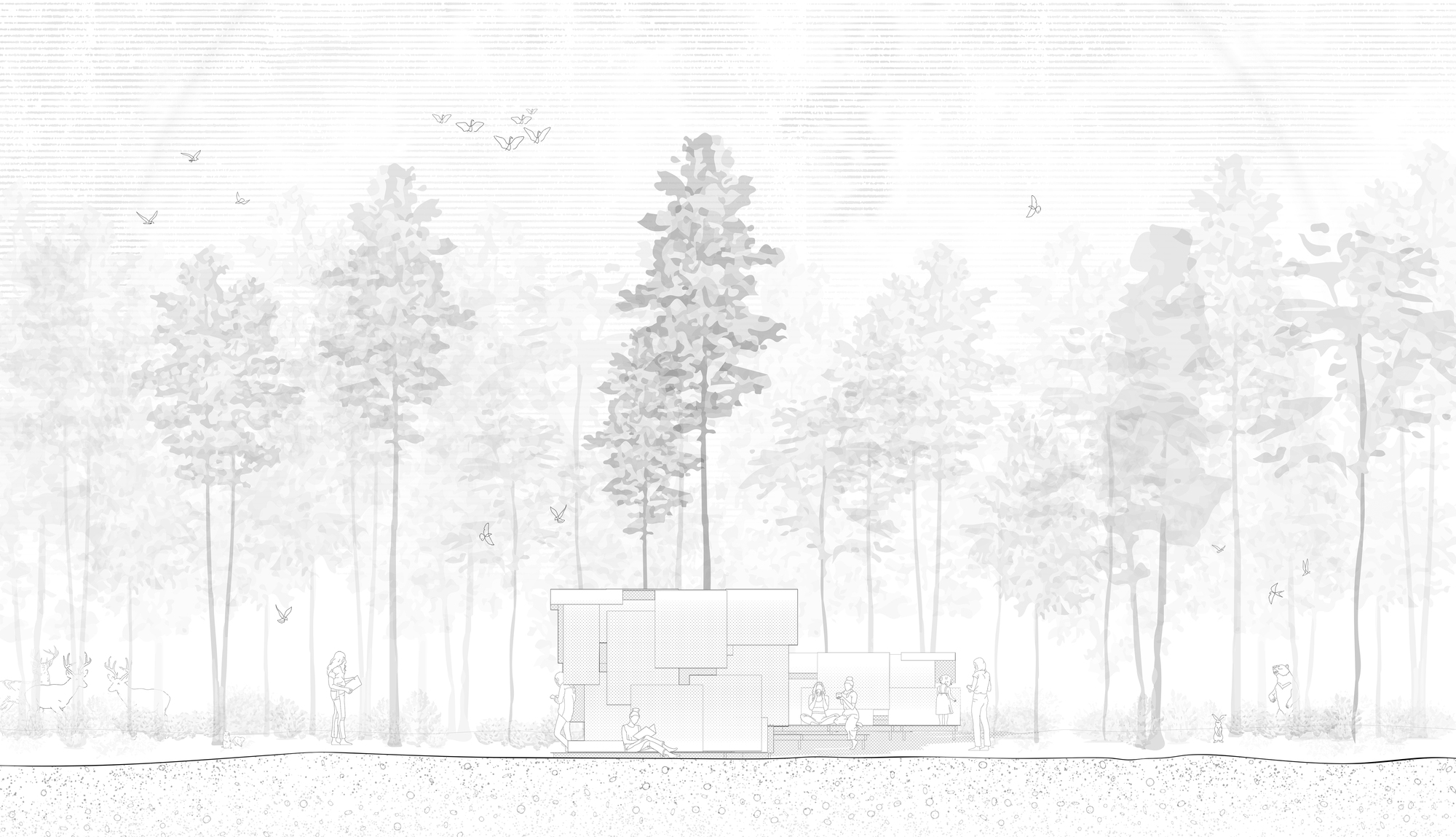 躲猫猫安装,我,你(thou 的宾格)丨美国纽约-46