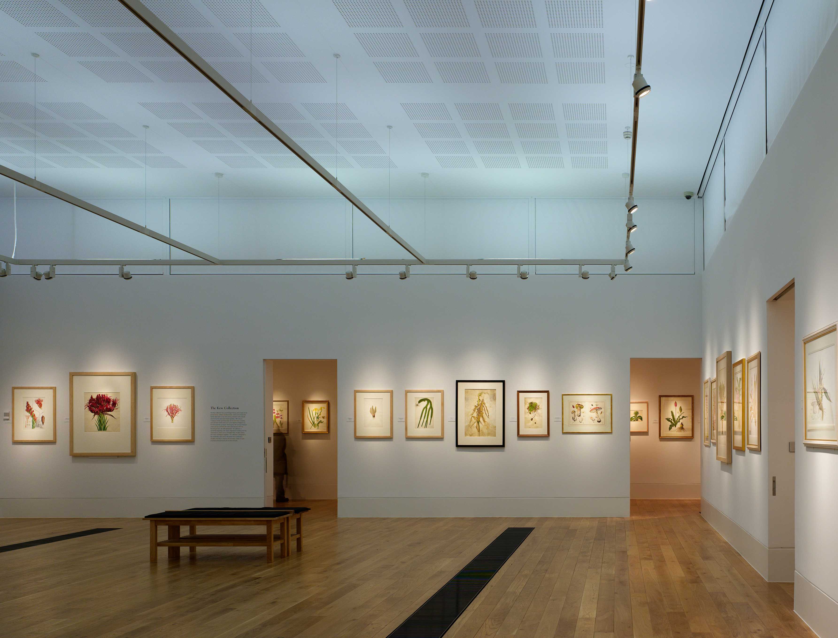 邱园植物艺术画廊（雪莉舍伍德美术馆）-38