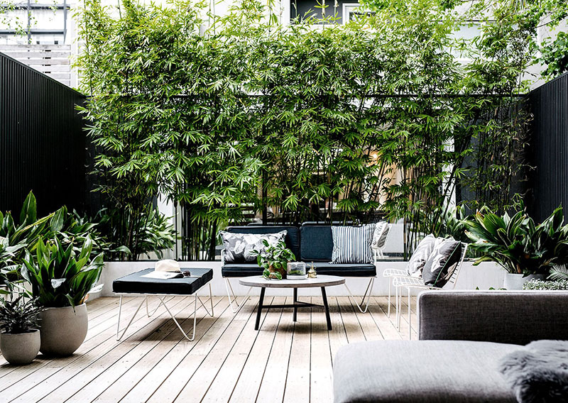 活力澳洲现代设计-34